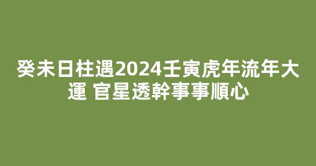 癸未日柱遇2024壬寅虎年流年大運 官星透幹事事順心